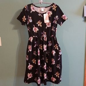 Floral Honey and Lace Windsor Dress